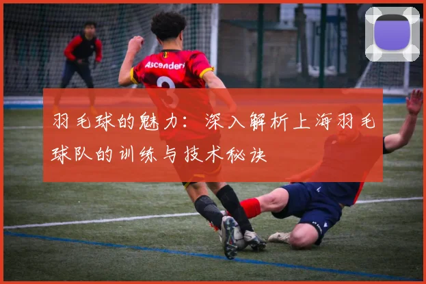 羽毛球的魅力：深入解析上海羽毛球队的训练与技术秘诀